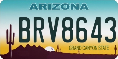 AZ license plate BRV8643