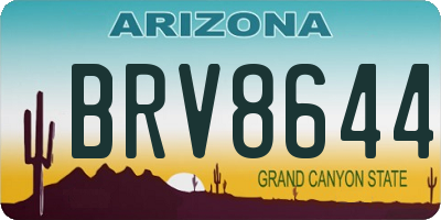 AZ license plate BRV8644