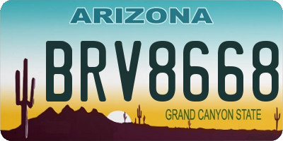 AZ license plate BRV8668
