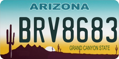 AZ license plate BRV8683