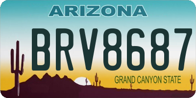 AZ license plate BRV8687