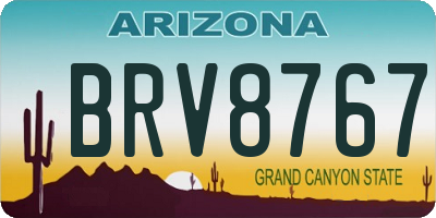 AZ license plate BRV8767