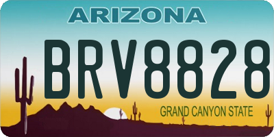 AZ license plate BRV8828