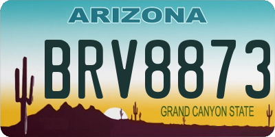 AZ license plate BRV8873