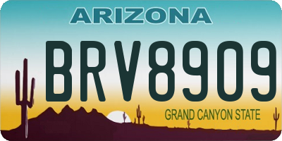 AZ license plate BRV8909