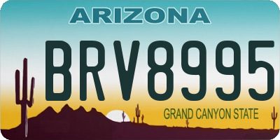 AZ license plate BRV8995