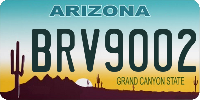 AZ license plate BRV9002
