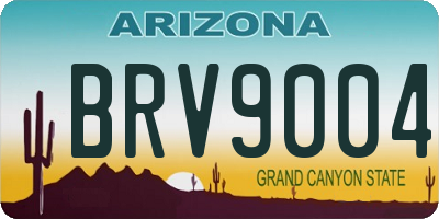 AZ license plate BRV9004