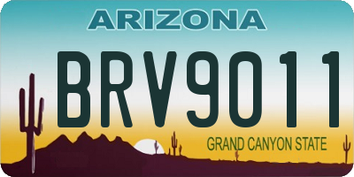 AZ license plate BRV9011