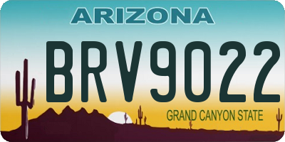 AZ license plate BRV9022