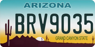 AZ license plate BRV9035