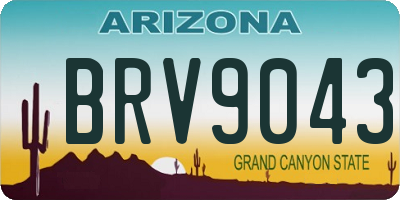 AZ license plate BRV9043