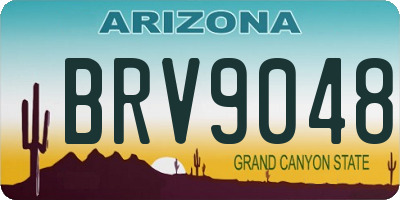 AZ license plate BRV9048