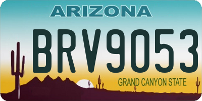 AZ license plate BRV9053