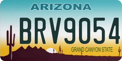 AZ license plate BRV9054