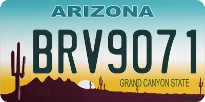 AZ license plate BRV9071