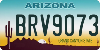 AZ license plate BRV9073
