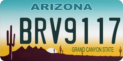 AZ license plate BRV9117