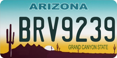 AZ license plate BRV9239