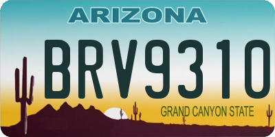 AZ license plate BRV9310