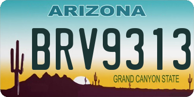 AZ license plate BRV9313