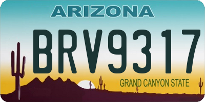 AZ license plate BRV9317