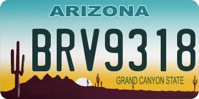 AZ license plate BRV9318