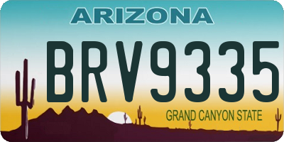 AZ license plate BRV9335