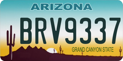 AZ license plate BRV9337