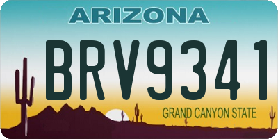 AZ license plate BRV9341