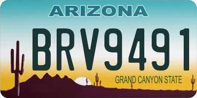AZ license plate BRV9491