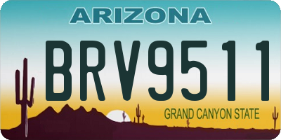 AZ license plate BRV9511