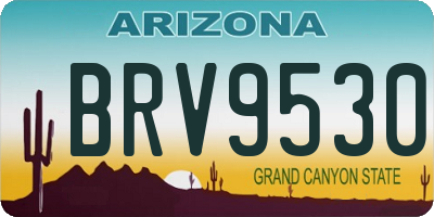 AZ license plate BRV9530