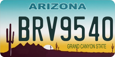 AZ license plate BRV9540