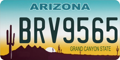 AZ license plate BRV9565