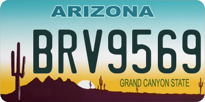 AZ license plate BRV9569