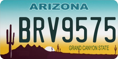 AZ license plate BRV9575
