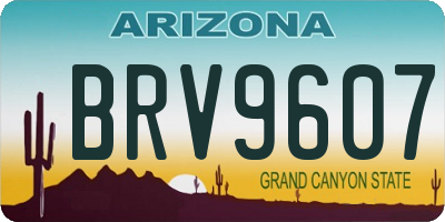 AZ license plate BRV9607
