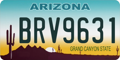 AZ license plate BRV9631