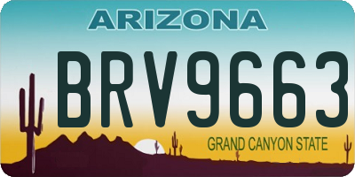 AZ license plate BRV9663