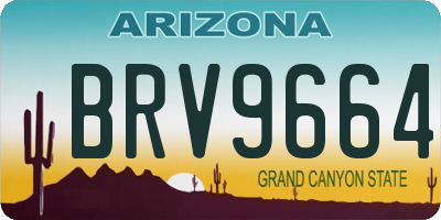AZ license plate BRV9664