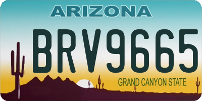 AZ license plate BRV9665