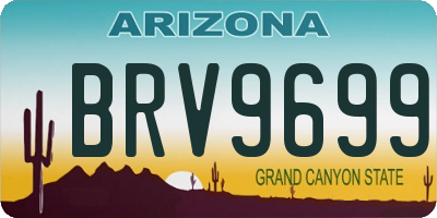 AZ license plate BRV9699