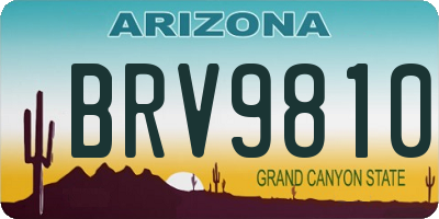 AZ license plate BRV9810