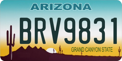 AZ license plate BRV9831