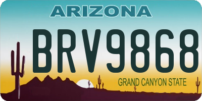 AZ license plate BRV9868