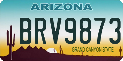 AZ license plate BRV9873