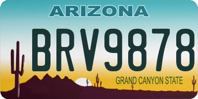 AZ license plate BRV9878