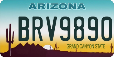 AZ license plate BRV9890