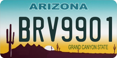 AZ license plate BRV9901
